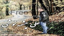 کلیپ ریمیکس زیبا صدای علی چشمه نوشی