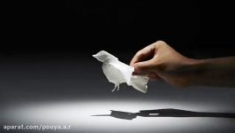 ساختن حیوانات استفاده دستمال کاغذی
