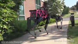 جدیدترین ربات بوستون داینامیکس به نام Spot Mini