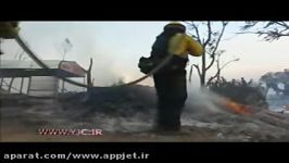 خاکستر شدن زندگی مردم بر اثر آتش سوزی جنگل + فیلم