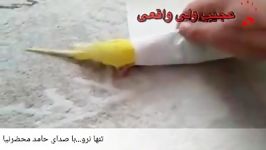 عشق را مرغ عشق بیاموز