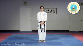 Heian Shodan  International Hayashi Ha Shito Ryu