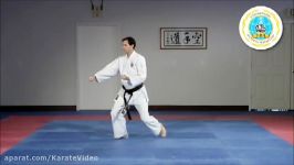 Heian Nidan  Hayashi Ha Shito Ryu