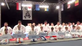 Highlight 2015 European Open Kyokushin Karate Champions