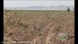 کشت پاییزه چغندرقند  برنامه تلویزیونی تلاش سبز