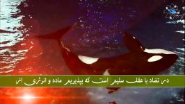 خدا وجود دارد ، معجزه قرآن کریم