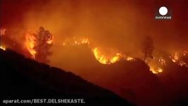 صدها کالیفرنیایی بدنبال آتش سوزی مجبور به ترک خانه شدند
