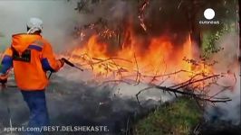 آتش سوزی وحشتناک در جنگل های روسیه