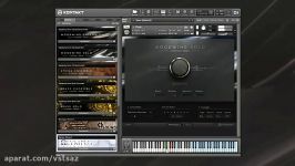 دانلودرایگان وی اس تی Native Instruments Woodwind solo