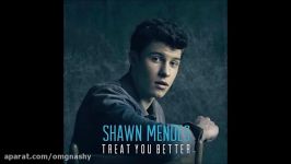 treat you better shawn mendes