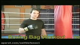 آموزش Boxing برنی ویلمز