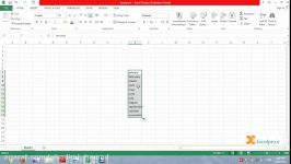 ایجاد لیست دلخواه در اکسل Excelpro.ir