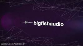 Big Fish Audio Entourage Modern RnB خرید وی اس تی