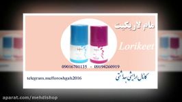 محصولات لاریکیت