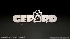 فلزیاب Gepard GPR کاوشگری انعطاف پذیر