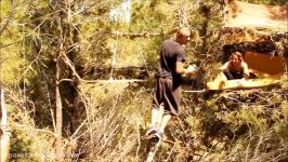 Parkour  Traceurs dans les arbres