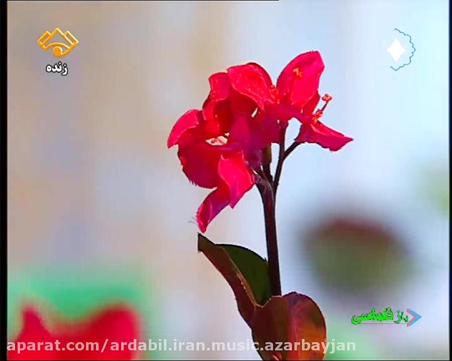 اجرای آهنگ ترکی ساسان شیردل در شبکه سبلان اردبیل