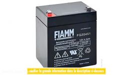 باتری های AGM FG20451 12V 45Ah فیام ایتالیا