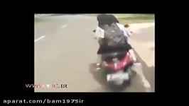 لحظه شاخ به شاخ دو دختر موتورسوار در خیابان های تهران