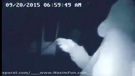 ویدئو عجیب کمک یک معلول به راننده اتبوس درمقابل دزد
