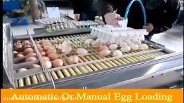 Fresh egg grading and sorting machine grade egg by wei