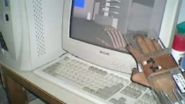 TED  Computer