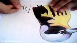 How to draw a robin bird with colour pencils  YouTube