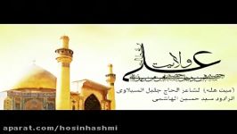 الرادود سید حسین الهاشمی # میت هله