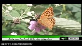 ارسال پرونده ثبت جهانی جنگلهای ارسباران به یونسکو