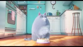 تریلر انیمیشن The Secret Life of Pets 2016