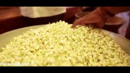 تولید اسانس گیری یاسمن در هند