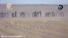 چند گله اسیر داعشی در صحرای الانبار عراق
