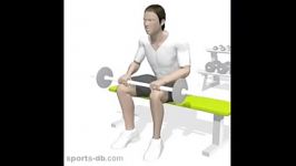 آموزش تمرین ساق پا نشسته هالتر