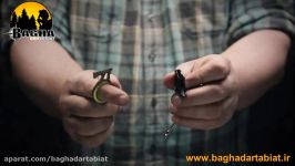 کاتر انگشتی گربر  GDC Keychain hook knife