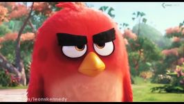 تریلر انیمیشن پرندگان خشمگین  The Angry Birds Movie