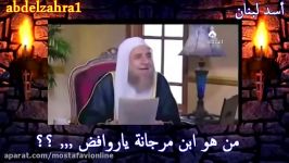 امسك بطنك من الضحك على العرعور الغبــــــی