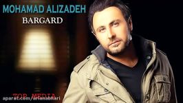 Mohammad Alizadeh  Bargard