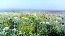 طبیعت روستای دگرماندرق