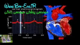 انیمیشن تغییرات ECG در سیستول دیاستول مهندسی پزشکی مهندسی