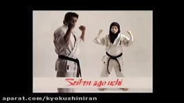 آموزش نحوه اجرای صحیح حرکت « seiken ago uchi» سیکن آگو