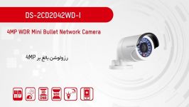 معرفی دوربین DS 2CD2042WD I هایک ویژن