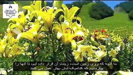 ادریس ابکر سوره کهف آیه 1 تا 18