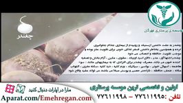 خواص غذایی درمانی چغندر