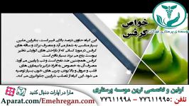 خواص غذایی درمانی کرفس