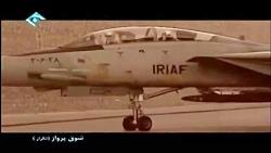 تامکت های ایرانی جنگنده  نیروی هوایی ایران  خلبانان 