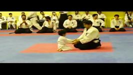 Real Aikido