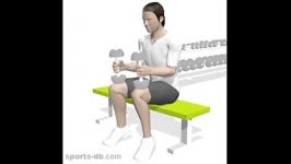 آموزش حرکت بدنسازی ساق پا نشسته دمبل