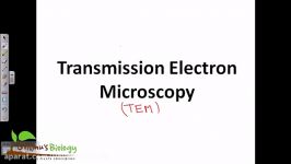 Electron microscopy  Transmission electron microscopy