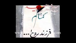 حاج امیرمیرزایی دخترشهید....