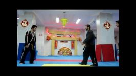 دفاع شخصی هاپکیدو توسط استاد محمد ضیایی پور hapkido